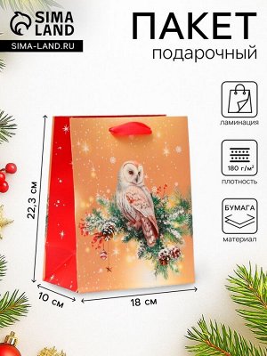 Пакет подарочный новогодний ламинированный «Совушка», 18x22.3x10 см