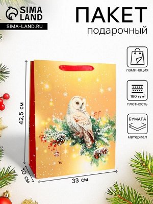 Пакет подарочный новогодний ламинированный «Совушка», 33x42.5x10 см