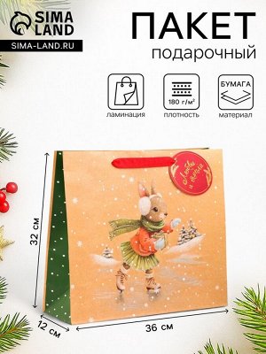 Пакет подарочный новогодний ламинированный «Зайка на льду», люкс, 36x32x12 см