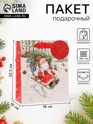 Пакет подарочный новогодний ламинированный «На санях», люкс, 18x22.3x10 см