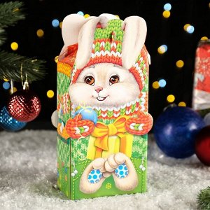 Подарочная новогодняя коробка «Новогодний Заяц», 14.3x7.6x27.7 см