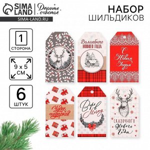 Шильдик новогодний декоративный в наборе «Верь в мечту», 6 шт., 9x5 см