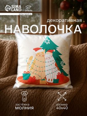 Наволочка декоративная новогодняя «Этель. Зимний муррр» 40x40 см