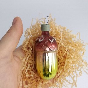 Желудь желтый