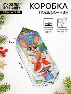Подарочная новогодняя коробка «Заяц - Кот», 12x7x23 см