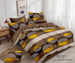 Постельное белье из Поплина Зима-лето - ЗЛ-311 1,5 спальное