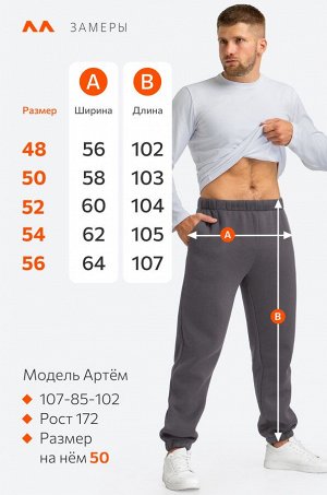 Мужские брюки из футера с начесом Happyfox