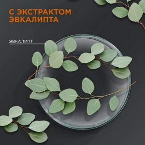 ШАУМА Шампунь д/мужчин Энергия спорта 2в1 /360