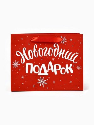 Пакет подарочный ламинированный «Новогодний подарок», MS 23 х 18 х 10 см