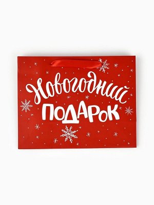 Пакет подарочный ламинированный «Новогодний подарок», MS 23 х 18 х 10 см