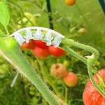 Лучший огород-дача. Подвязки, освещение, парники, удобрения