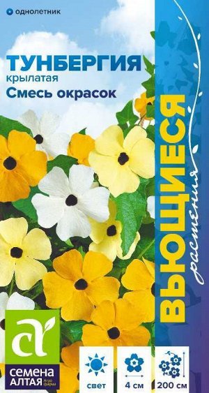 Цветы Тунбергия Смесь окрасок крылатая/Сем Алт/цп 0,2 гр. Вьющиеся растения