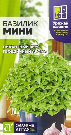 Зелень Базилик Мини/Сем Алт/цп 0,2 гр. УРОЖАЙ НА ОКНЕ!