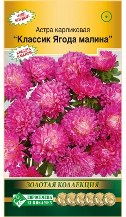 Астра КЛАССИК Ягода малина (карликовая) (0,1 гр)