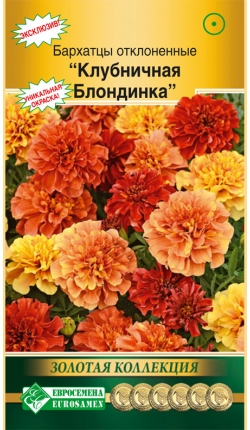 Евросемена / Бархатцы отклоненные КЛУБНИЧНАЯ БЛОНДИНКА (10 шт ...
