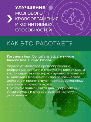 Фитокомплекс Зеленый лекарь "Для памяти и мозга", ПЭТ банка, капс. 0,41 г №60