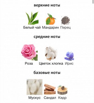 Женские духи L.12.12. Rose Eau Intense Lacoste 100 мл. Оригинал