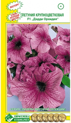 Петуния крупноцветковая ДЕДДИ Орхидея F1 (10 драже)