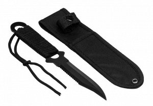 Набор в сумке-чехле (HS-2023-PB-1-F) Helios [фляжка 270мл, термос 390мл]