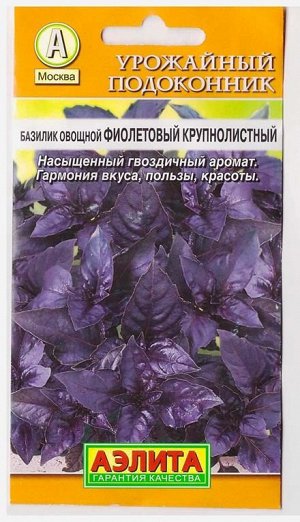 Базилик Фиолетовый крупнолистный (Код: 6525)