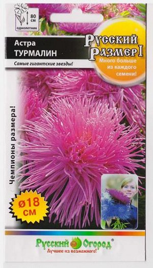 Астра Русский размер Турмалин (Код: 6262)