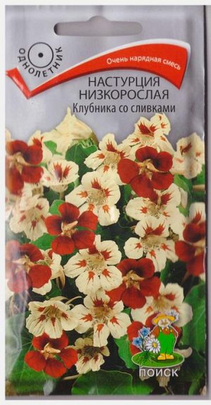 Настурция Клубника со сливками (Код: 65980)