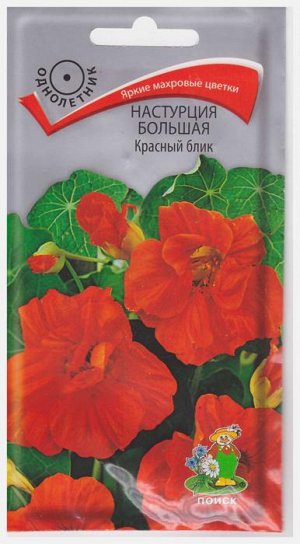 Настурция Красный Блик (Код: 65974)