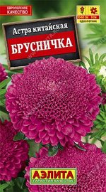 Астра Брусничка (Код: 11966)