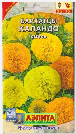 Бархатцы Каландо (Код: 7012)