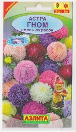 Астра Гном смесь (Код: 10457)