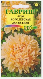 Астра Королевская Лососевая (Код: 71802)