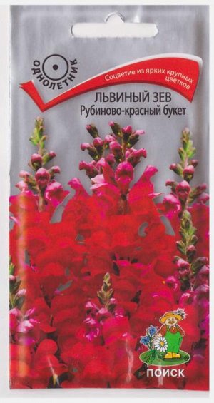 Львиный зев Рубиново-красный букет (Код: 66907)