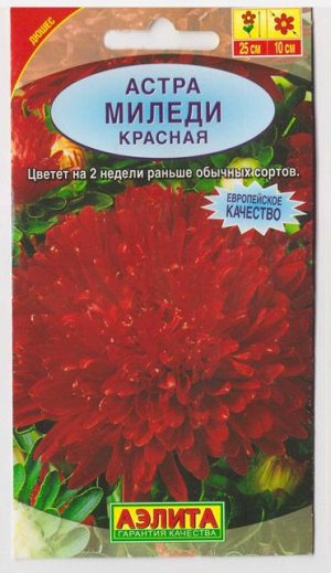 Астра Миледи Красная (Код: 8846)