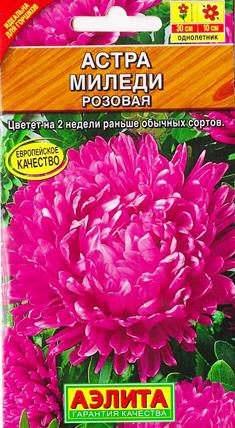 Астра Миледи Розовая (Код: 8585)