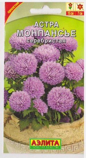 Астра Монпансье серебристая (Код: 17094)