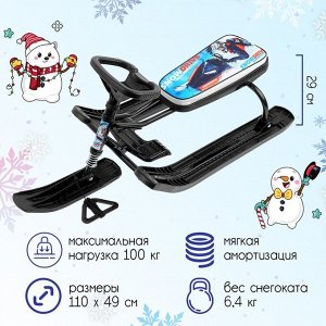 Снегокат «Тимка спорт 2 Гонки», ТС2, цвет чёрный