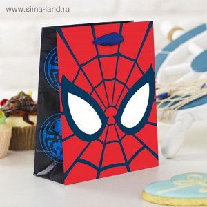 Пакет ламинированный вертикальный "Ты- супергерой", Человек-паук, 12 х 15 х 5.5 см