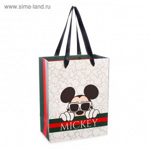 Пакет ламинат вертикальный Mickey, 18х23х10 см, Микки Маус