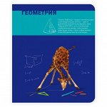 Тетрадь шк. уч. темат. арт. 44321/5 ГЕОМЕТРИЯ /48 л, А5, на скрепке, внутр.блок - офсет, клетка. Подкладные листы со справочной информацией. обл.- сплошной УФ-лак./