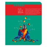 Тетрадь шк. уч. темат. арт. 44322/5 ФИЗИКА /48 л, А5, на скрепке, внутр.блок - офсет, клетка,  Подкладные листы со справочной информацией. обл.- сплошной УФ-лак./