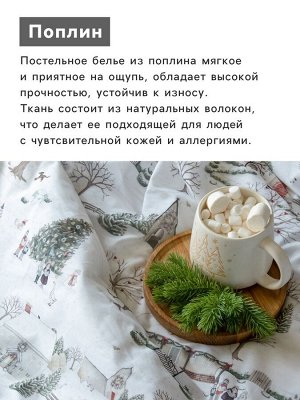 Постельное бельё 1.5-спальное «Этель» Winter countryside, поплин