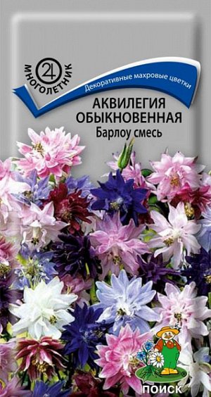 Аквилегия обыкновенная Барлоу смесь