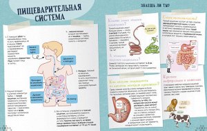 СКХ. Мой первый школьный проект. Суперкнига о теле человека/Пари М.