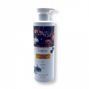ViYa Маска бальзам для волос с экстрактом чёрного чеснока Black Garlic scalp Treatment