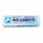 Резинка жевательная КОРЕЯ * SPEARMINT, пластинки, 26 гр