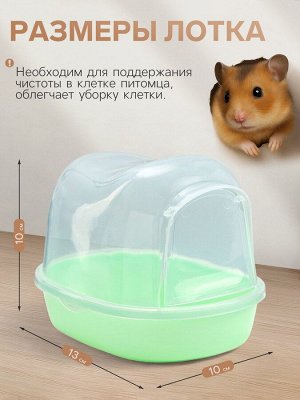 Туалет для грызунов фигурный «Пижон», 13x10x10 см, зелёный