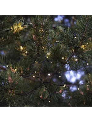 Гирлянда «Нить» 10 м, IP44, УМС, тёмная нить, 100 LED, свечение тёплое белое, 220 В