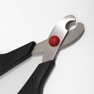 Ножницы-когтерезы средние с упором для пальца, 13.5x6.5x0.8 см, эконом, МИКС