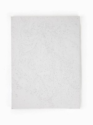 Картина по номерам на холсте «Огненный конь» 30x40 см