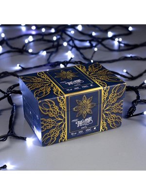 Гирлянда «Нить» 10 м, IP44, УМС, тёмная нить, 100 LED, свечение белое, мерцание белым, 220 В